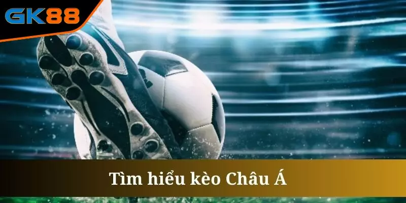 Chia sẻ kinh nghiệm bắt kèo châu Á chuẩn xác dành cho thành viên mới 